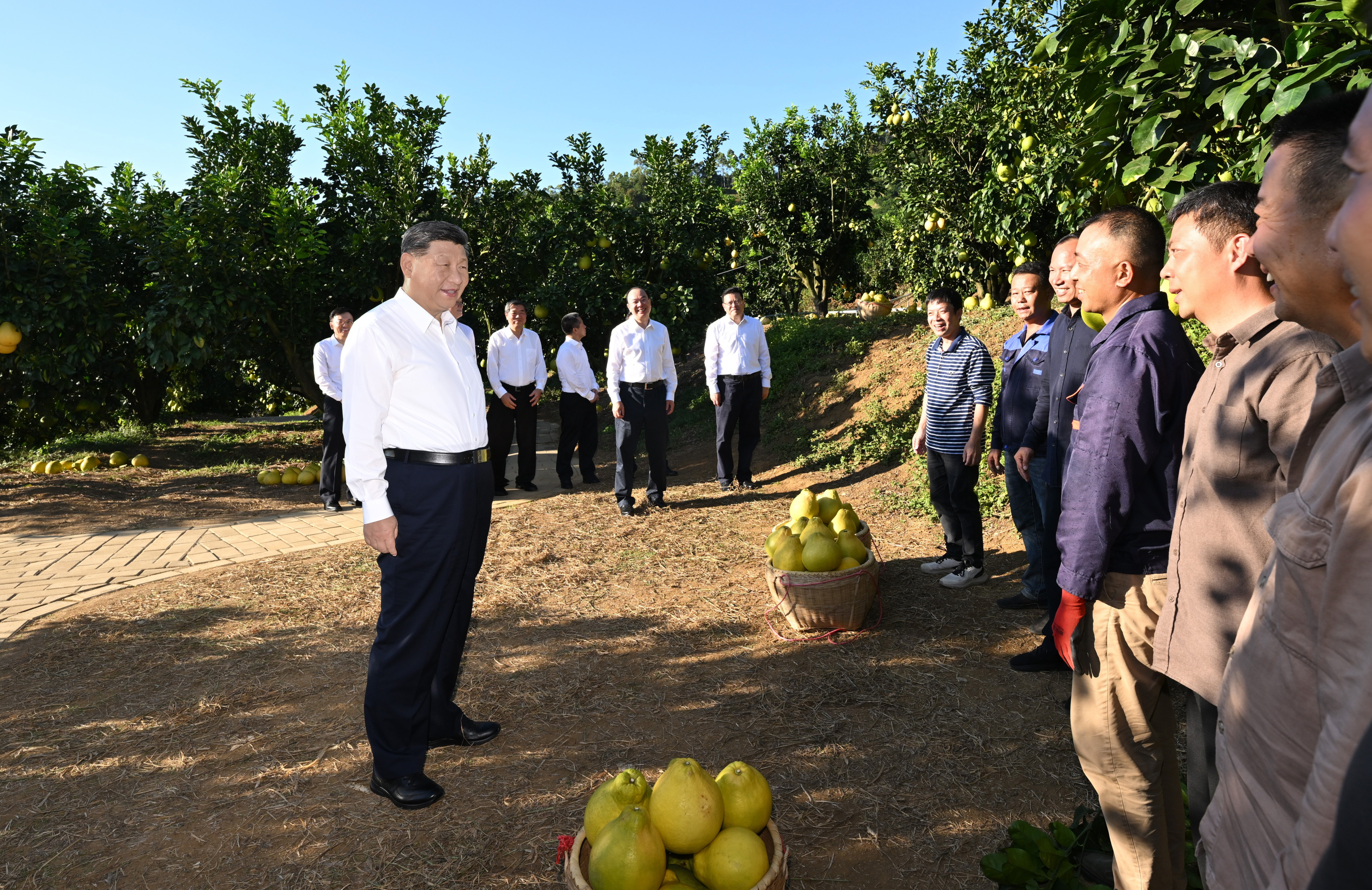 ϰƽ:ѧϰ᳹Ķʮȫᾫ ȫĸ￪ƶչ